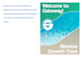 professionally design and format your word documents